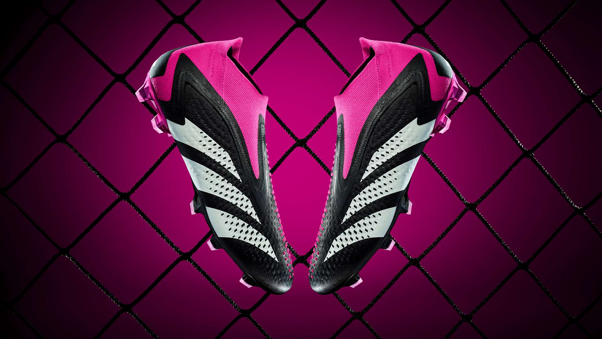 球观看体验 球观看体验