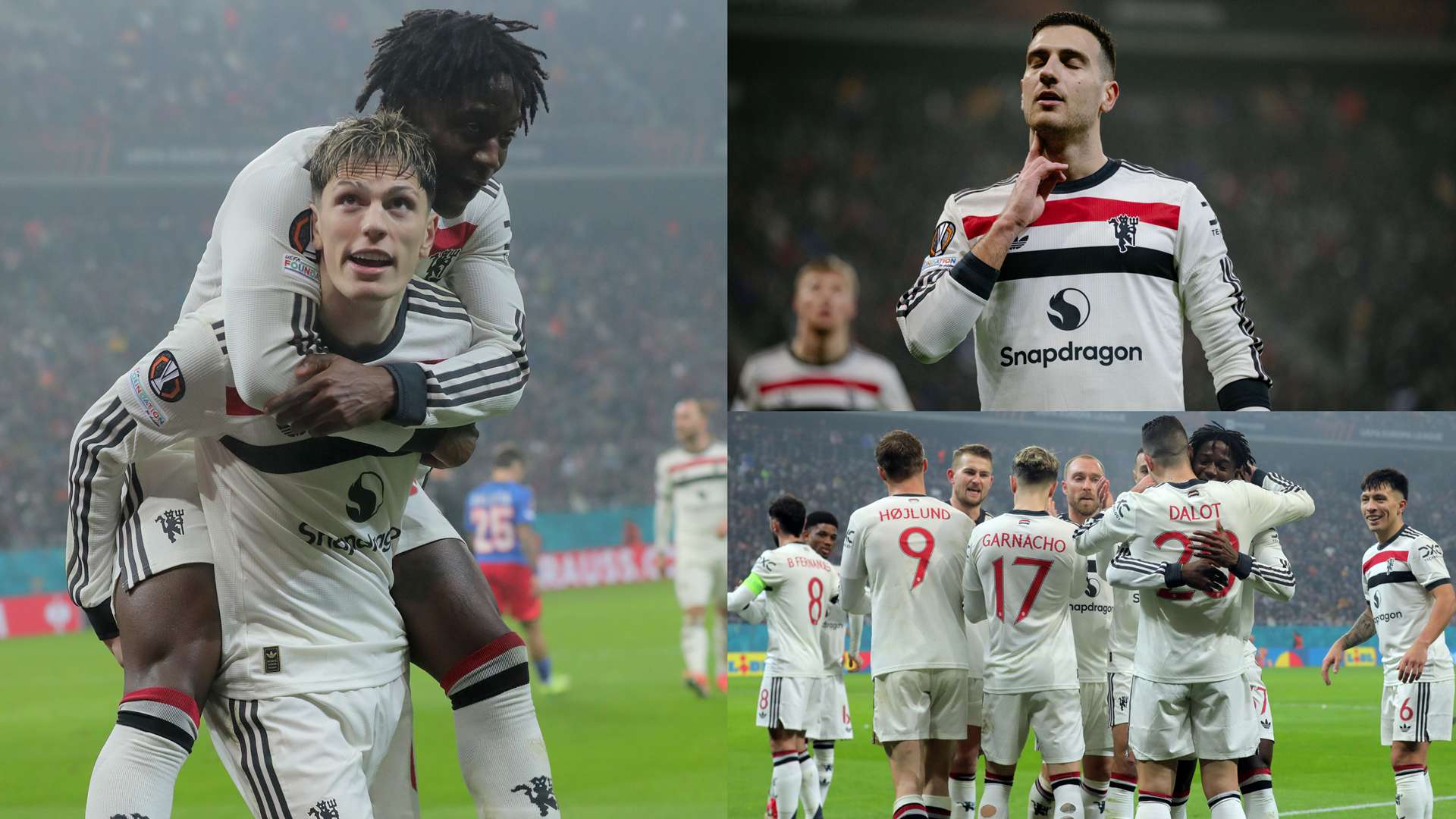 的敏锐嗅觉 的敏锐嗅觉